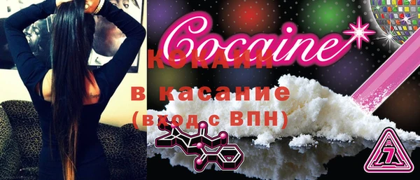 индика Аркадак