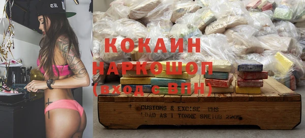индика Аркадак