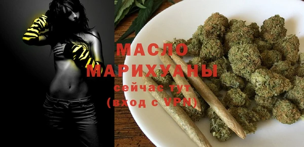 индика Аркадак
