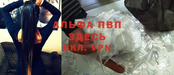 индика Аркадак