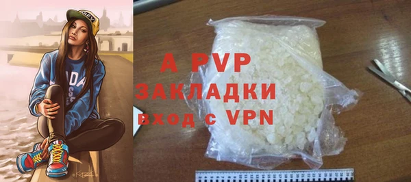 индика Аркадак