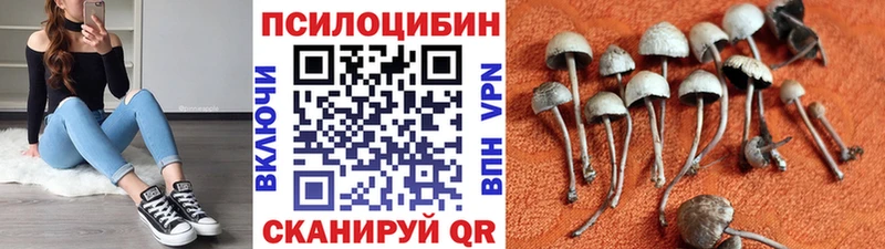 сколько стоит  Райчихинск  Галлюциногенные грибы прущие грибы 